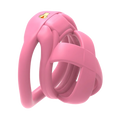 The Model X Chastity  Cage