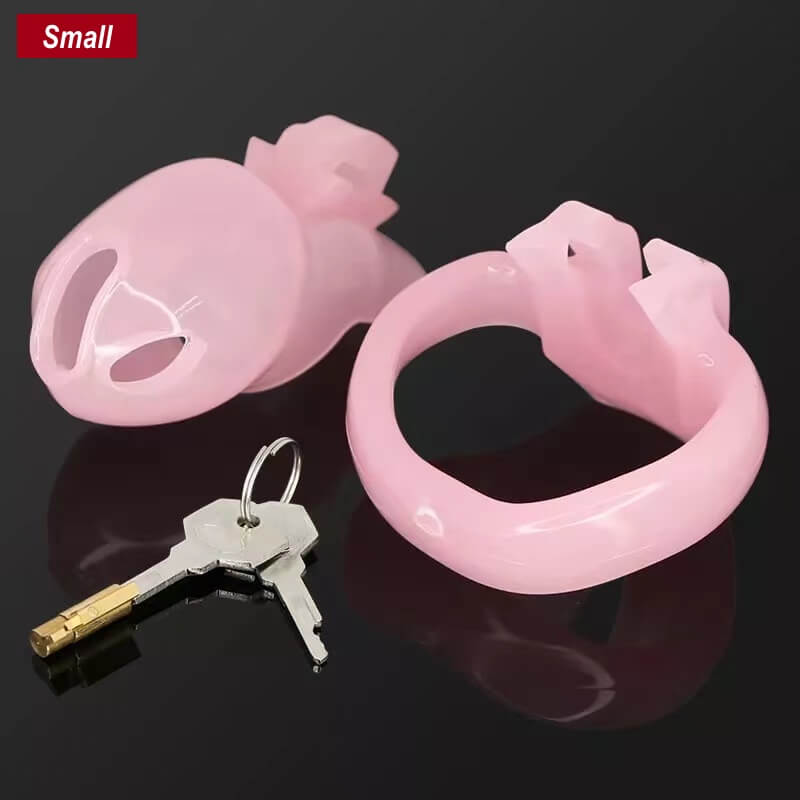 Small-Sung V4 Resin Chastity Device – Compact 3.35" Cage with Multi-Ring Set