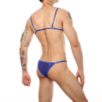 Load image into Gallery viewer, Transparent Lace Bra &amp; Bikini Lingerie Set
