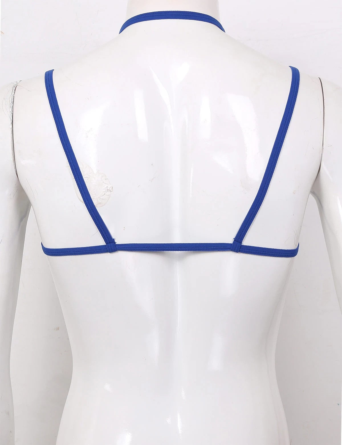 Sissy Sheer Lace Bra - Sissy Lux