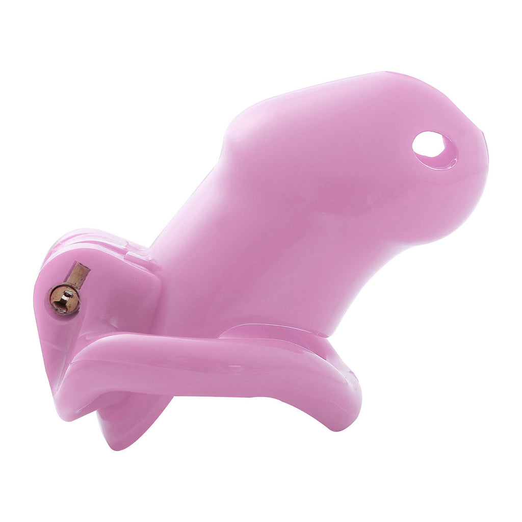 Slut Punisher Cock Cage - Sissy Lux