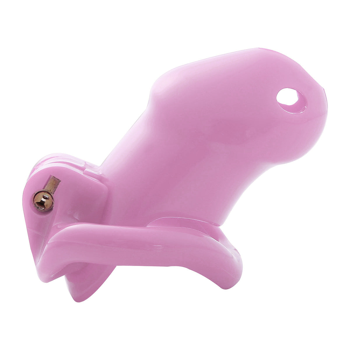 Slut Punisher Cock Cage - Sissy Lux