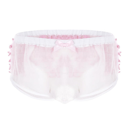 "Sissy Amy" Organza Panties - Sissy Lux