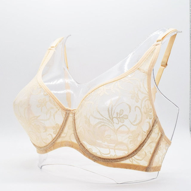 Transparent Lace Bra - Sissy Lux