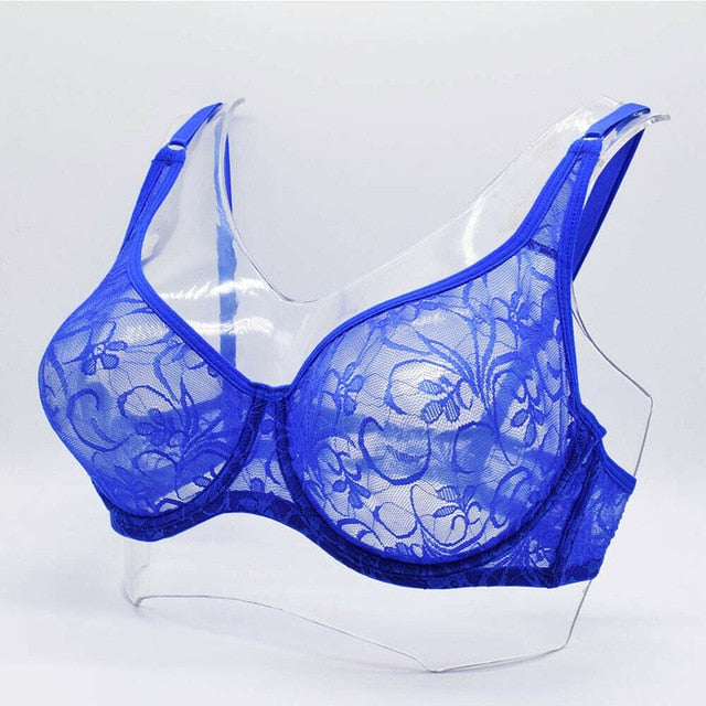 Transparent Lace Bra - Sissy Lux