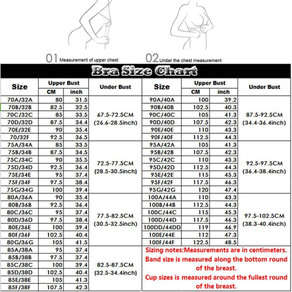 Transparent Lace Bra - Sissy Lux