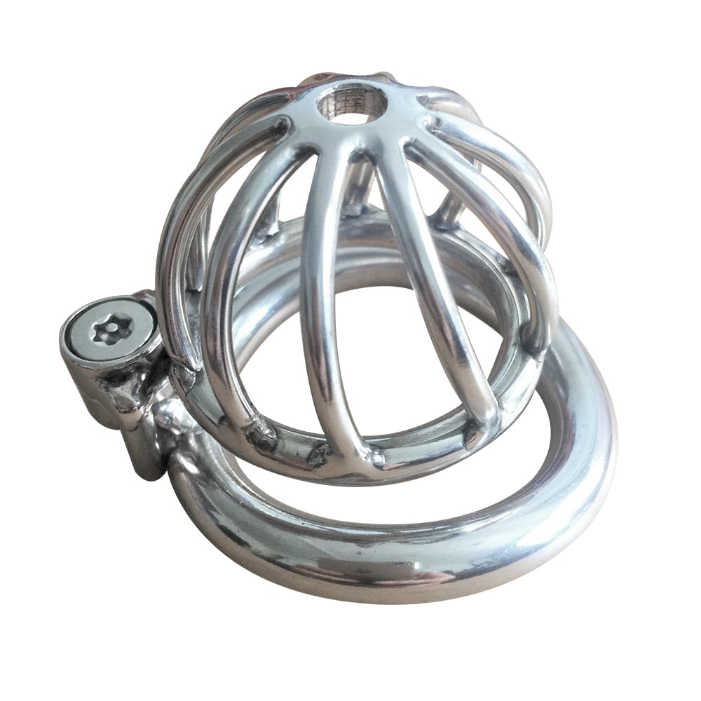 Small Chastity Cage - Sissy Lux