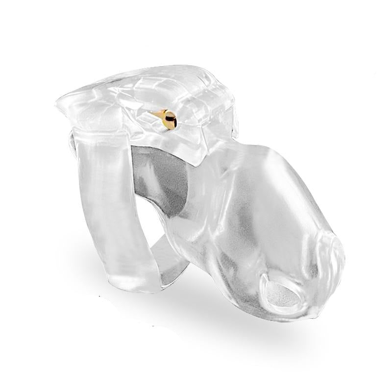 Domesticated Sissy Slave Chastity Cage - Sissy Lux