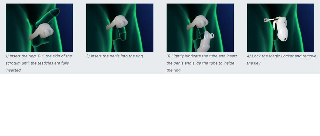 Domesticated Sissy Slave Chastity Cage - Sissy Lux