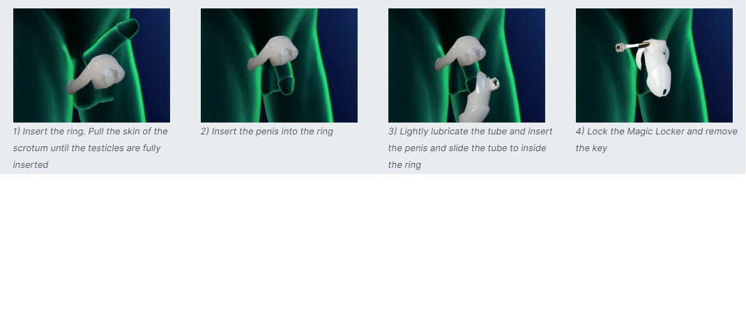 Domesticated Sissy Slave Chastity Cage - Sissy Lux