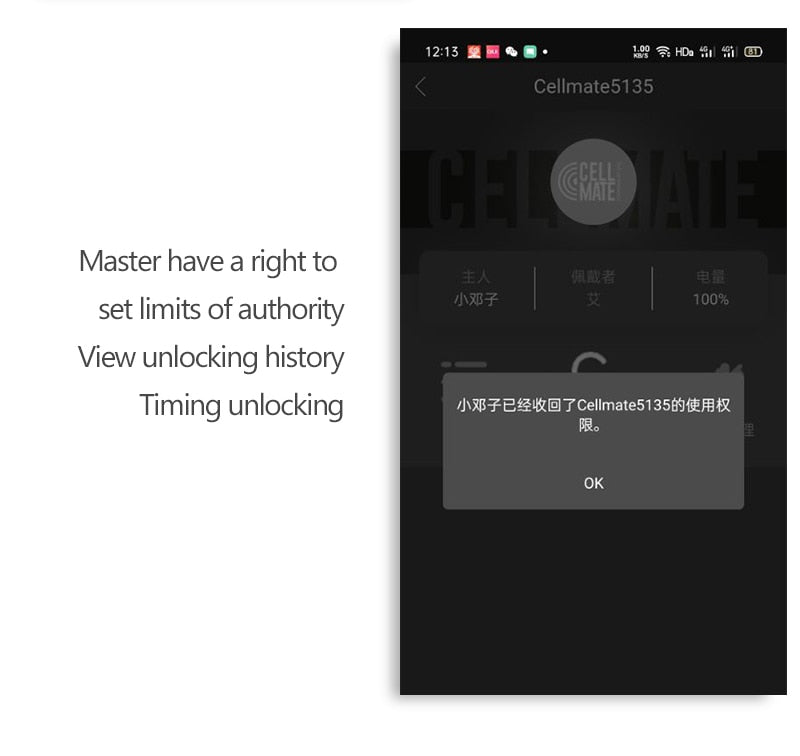 Cellmate Chastity Cage App Controlled - Sissy Lux