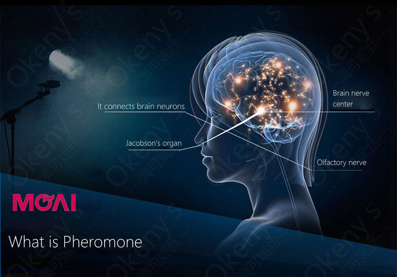 Pheromone Flirt Perfume to Attract Men - Sissy Lux