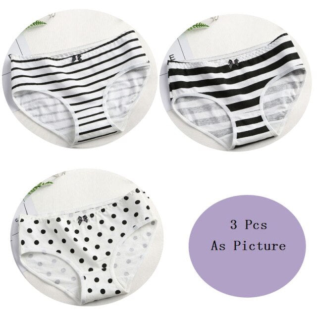 "Playful Sissy" Panty Set (3 Pcs) - Sissy Lux