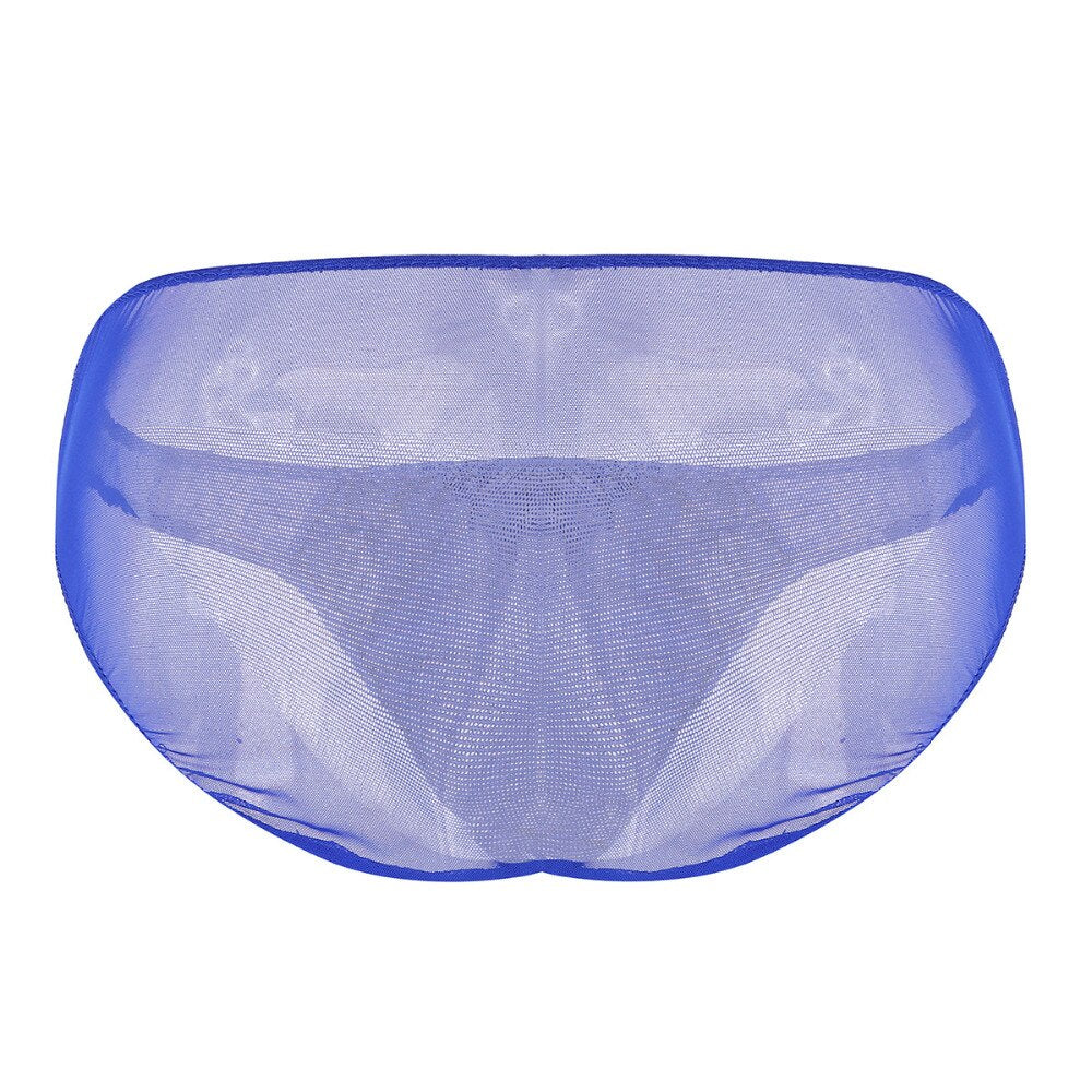 "Sissy Lola" Sheer Mesh Panties - Sissy Lux